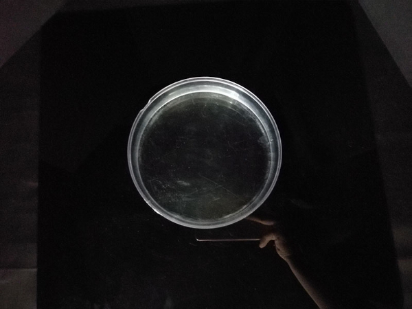 ���Ҷ���400