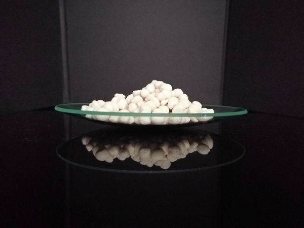 ��ѩ������