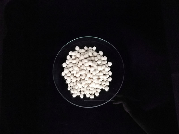 ��ѩ������