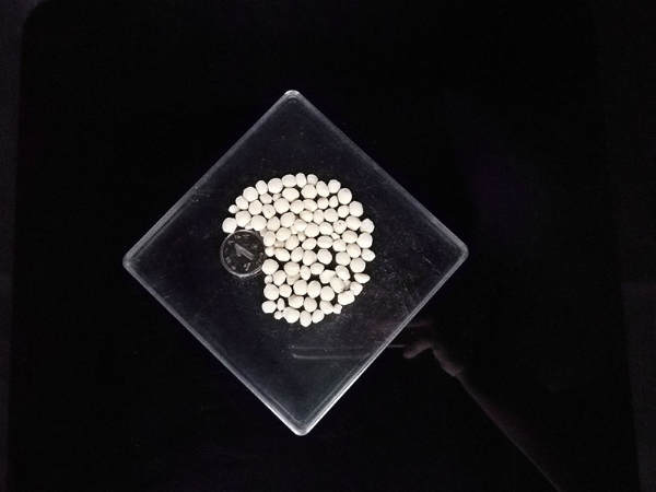 ��ѩ������