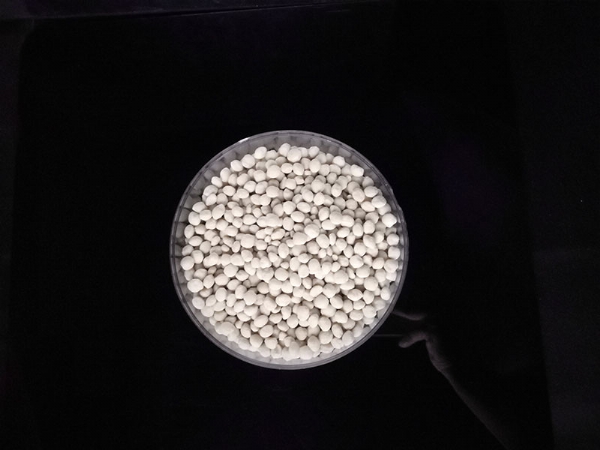 ��ѩ������