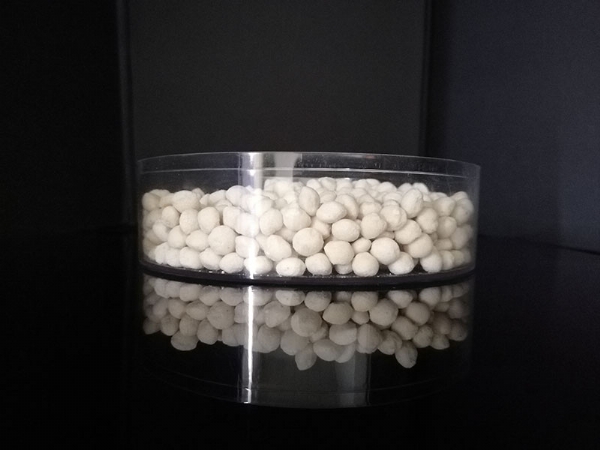 ��ѩ������