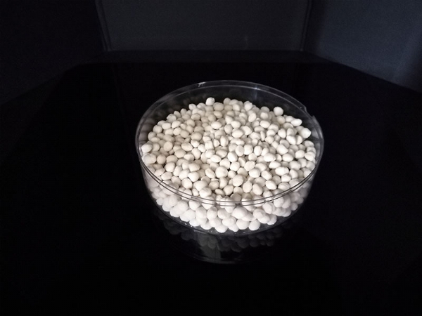 ��ѩ������