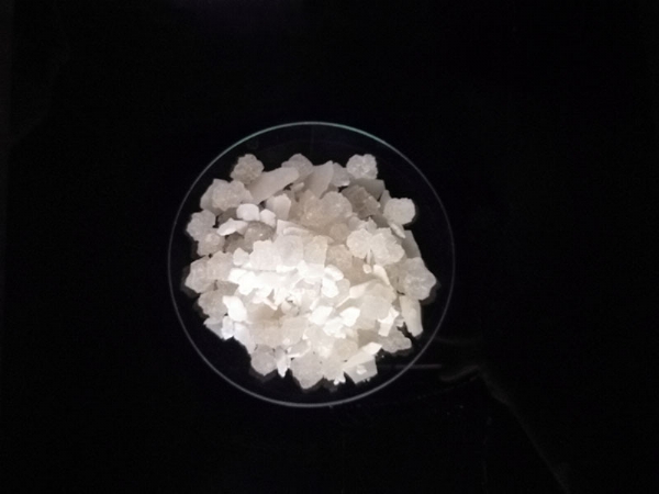 ��ѩ������