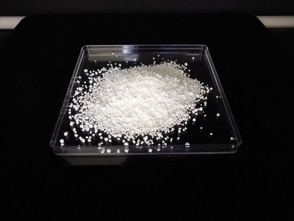 ʳ���Ȼ���