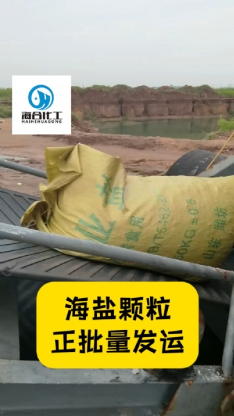 small4_17869603896244428 微信图片_20260817174159_45_50